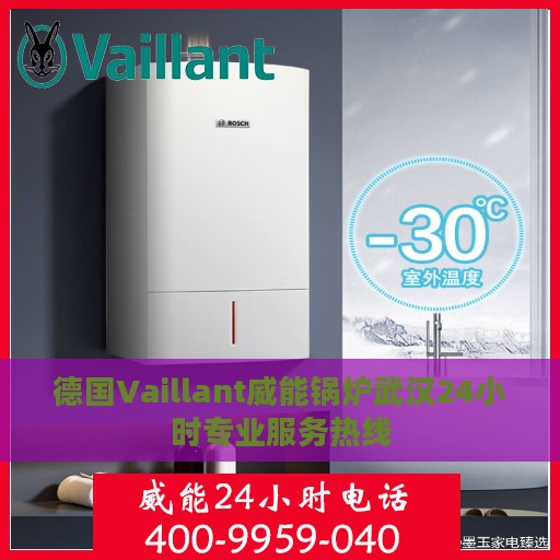 德国Vaillant威能锅炉武汉24小时专业服务热线