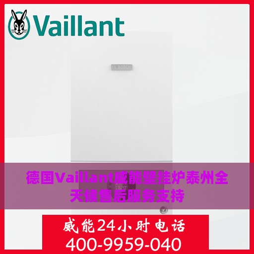 德国Vaillant威能壁挂炉泰州全天候售后服务支持