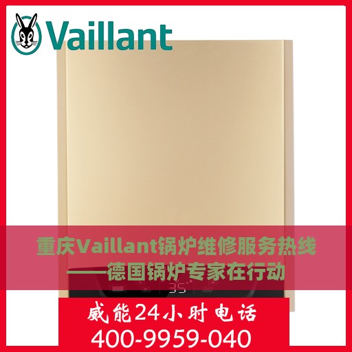 重庆Vaillant锅炉维修服务热线——德国锅炉专家在行动