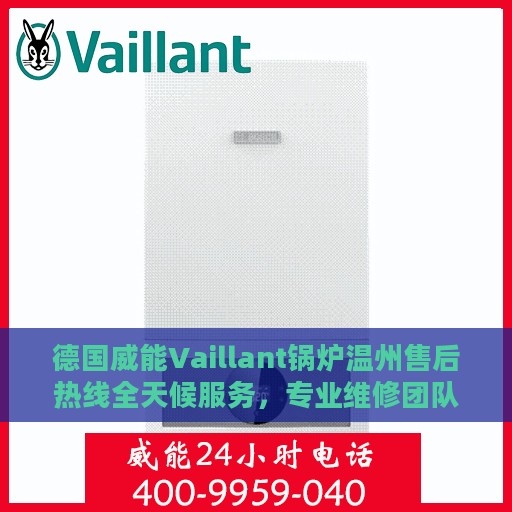 德国威能Vaillant锅炉温州售后热线全天候服务，专业维修团队24小时在线支持