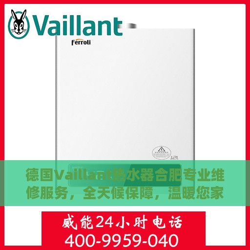德国Vaillant热水器合肥专业维修服务，全天候保障，温暖您家的每一刻