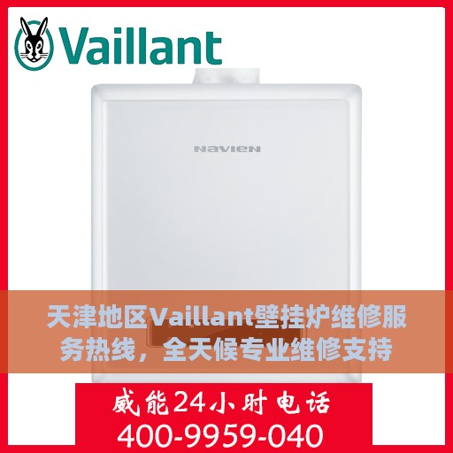 天津地区Vaillant壁挂炉维修服务热线，全天候专业维修支持