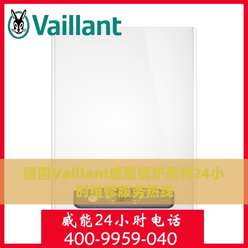 德国Vaillant威能锅炉泰州24小时维修服务热线