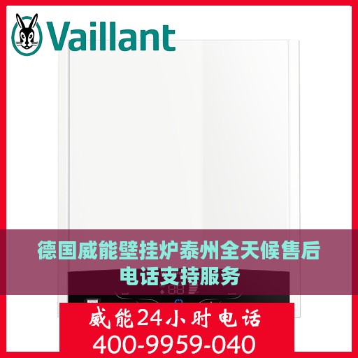德国威能壁挂炉泰州全天候售后电话支持服务