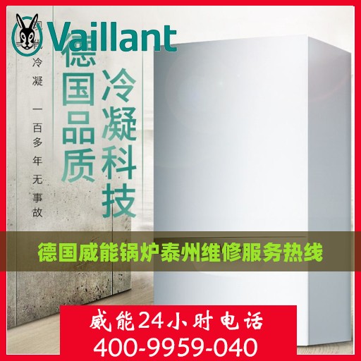 德国威能锅炉泰州维修服务热线