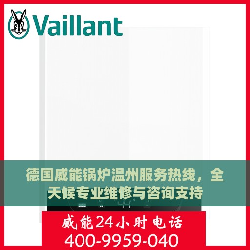 德国威能锅炉温州服务热线，全天候专业维修与咨询支持