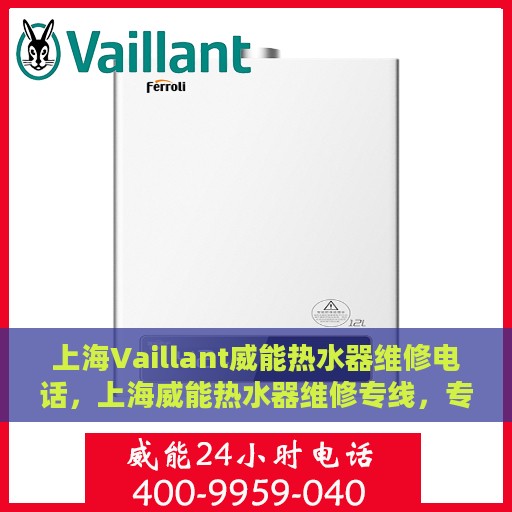 上海Vaillant威能热水器维修电话，上海威能热水器维修专线，专业解决热水器疑难杂症