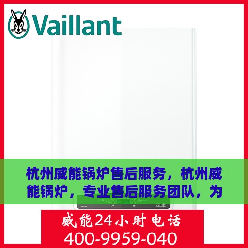 杭州威能锅炉售后服务，杭州威能锅炉，专业售后服务团队，为您的锅炉保驾护航