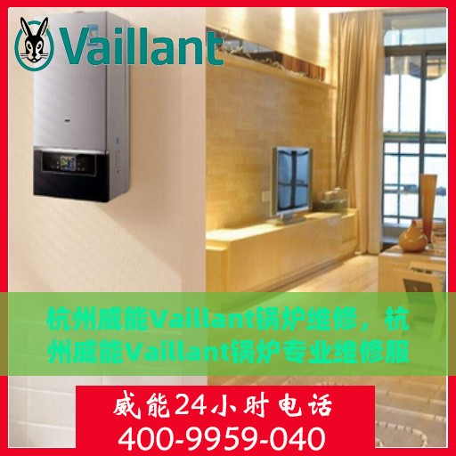 杭州威能Vaillant锅炉维修，杭州威能Vaillant锅炉专业维修服务