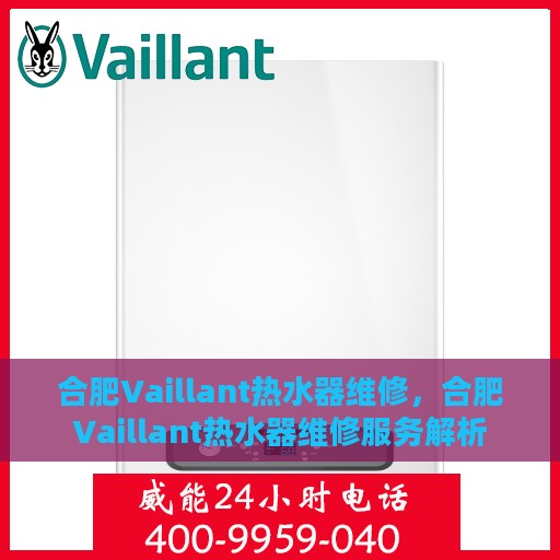 合肥Vaillant热水器维修，合肥Vaillant热水器维修服务解析