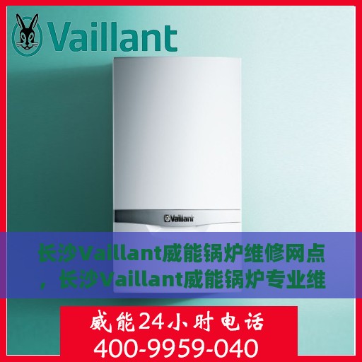 长沙Vaillant威能锅炉维修网点，长沙Vaillant威能锅炉专业维修网点，高效快捷的锅炉维护与保养服务