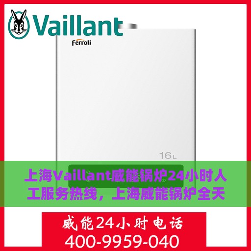 上海Vaillant威能锅炉24小时人工服务热线，上海威能锅炉全天候人工服务热线，专业解答，温暖您的生活