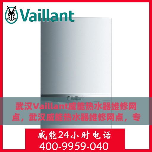 武汉Vaillant威能热水器维修网点，武汉威能热水器维修网点，专业维修服务，快速解决您的热水器问题