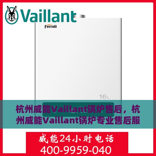 杭州威能Vaillant锅炉售后，杭州威能Vaillant锅炉专业售后服务支持