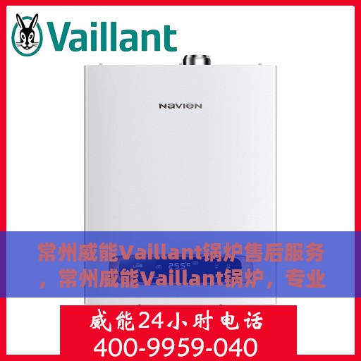 常州威能Vaillant锅炉售后服务，常州威能Vaillant锅炉，专业售后服务团队，贴心保障您的温暖生活