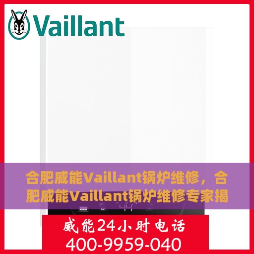 合肥威能Vaillant锅炉维修，合肥威能Vaillant锅炉维修专家揭秘，专业维护与保养秘籍