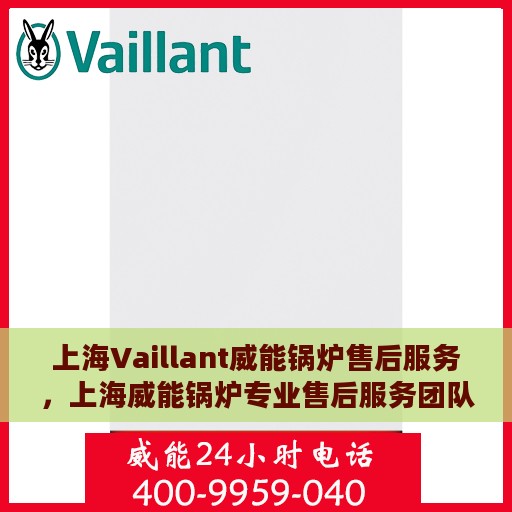 上海Vaillant威能锅炉售后服务，上海威能锅炉专业售后服务团队，高效响应，品质保障