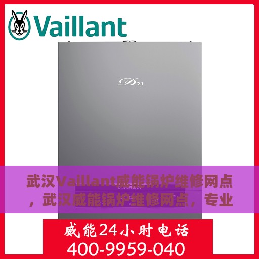 武汉Vaillant威能锅炉维修网点，武汉威能锅炉维修网点，专业快捷的锅炉维护与保养服务