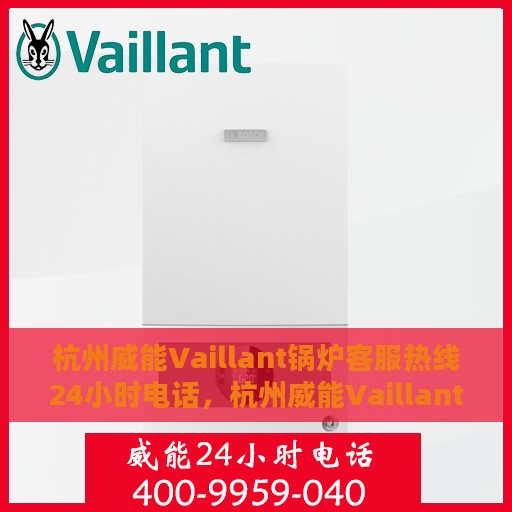 杭州威能Vaillant锅炉客服热线24小时电话，杭州威能Vaillant锅炉全天候客服热线电话服务揭秘