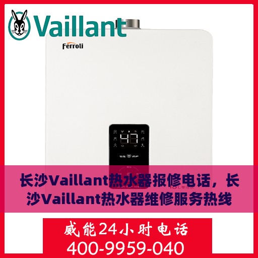 长沙Vaillant热水器报修电话，长沙Vaillant热水器维修服务热线及报修指南