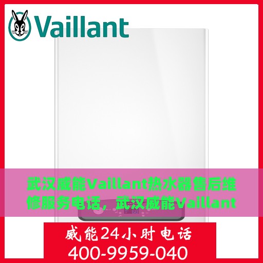 武汉威能Vaillant热水器售后维修服务电话，武汉威能Vaillant热水器售后维修服务热线及专业解决方案