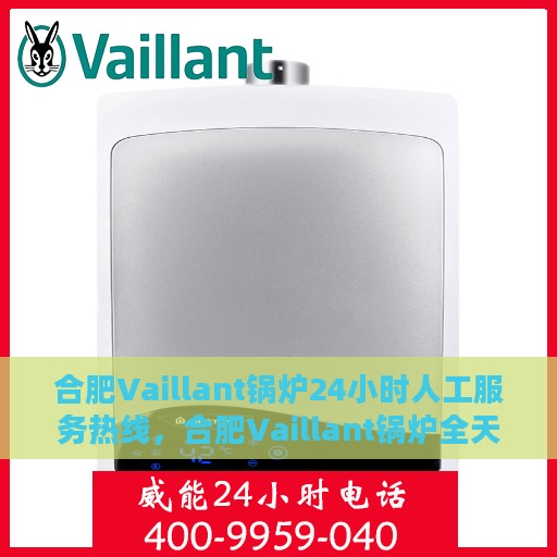 合肥Vaillant锅炉24小时人工服务热线，合肥Vaillant锅炉全天候人工服务热线，专业快速响应，温暖您的每一个冬日