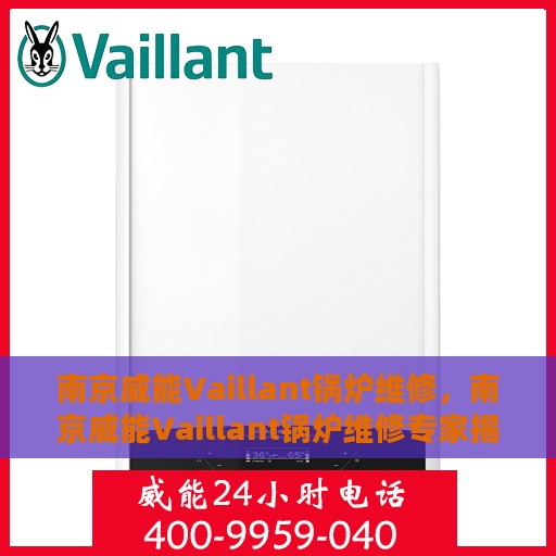 南京威能Vaillant锅炉维修，南京威能Vaillant锅炉维修专家揭秘，专业维护与保养秘籍