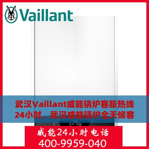 武汉Vaillant威能锅炉客服热线24小时，武汉威能锅炉全天候客服热线，专业解答，服务不停歇