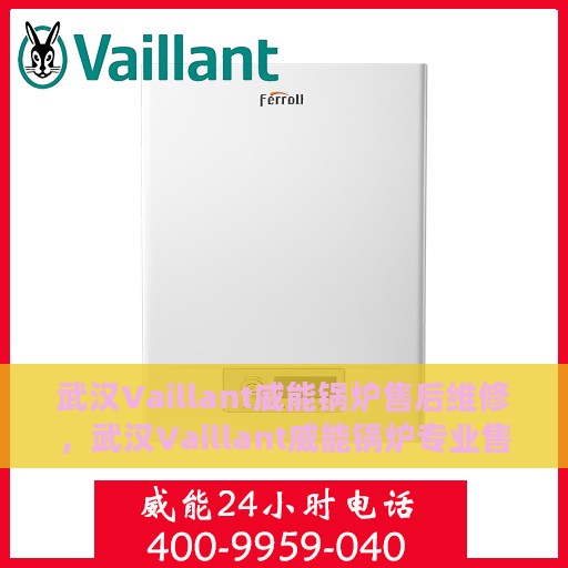 武汉Vaillant威能锅炉售后维修，武汉Vaillant威能锅炉专业售后维修服务团队