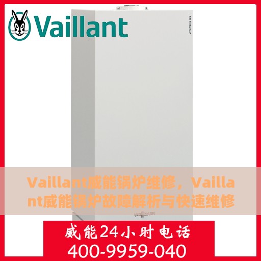Vaillant威能锅炉维修，Vaillant威能锅炉故障解析与快速维修指南