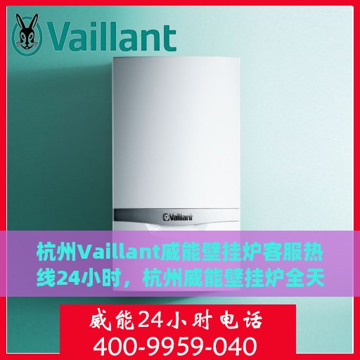 杭州Vaillant威能壁挂炉客服热线24小时，杭州威能壁挂炉全天候客服热线，专业解答，温暖无忧