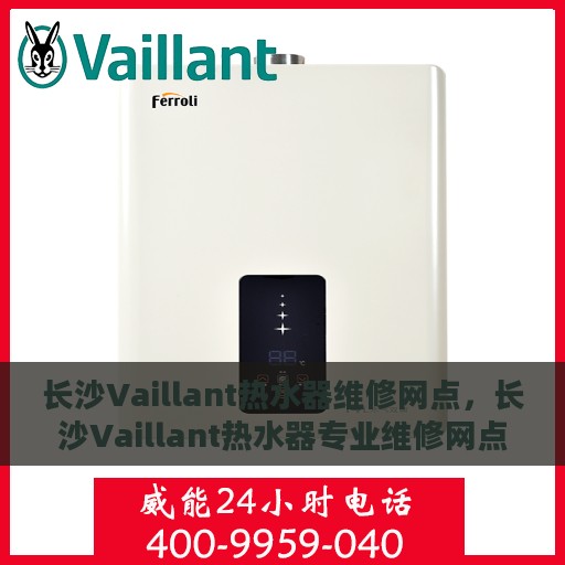 长沙Vaillant热水器维修网点，长沙Vaillant热水器专业维修网点，全方位服务，为您的生活保驾护航