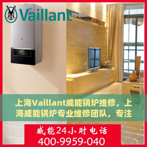 上海Vaillant威能锅炉维修，上海威能锅炉专业维修团队，专注锅炉维护与保养