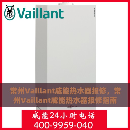 常州Vaillant威能热水器报修，常州Vaillant威能热水器报修指南与解决方案