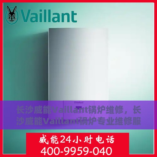 长沙威能Vaillant锅炉维修，长沙威能Vaillant锅炉专业维修服务