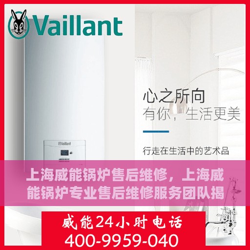 上海威能锅炉售后维修，上海威能锅炉专业售后维修服务团队揭秘