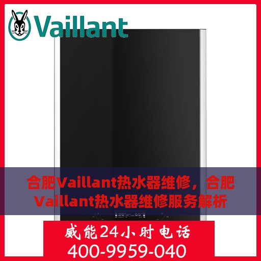 合肥Vaillant热水器维修，合肥Vaillant热水器维修服务解析