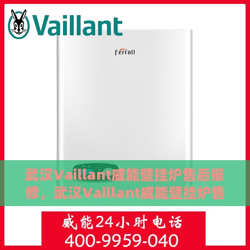 武汉Vaillant威能壁挂炉售后报修，武汉Vaillant威能壁挂炉售后报修指南，专业维修团队，贴心服务保障您的温暖家居